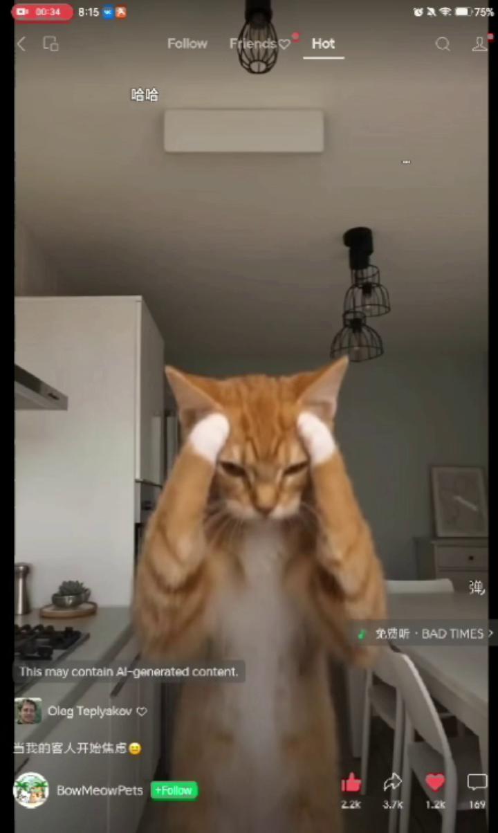 ������