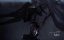   / True Bloodthirst / Vampyre Nation - 