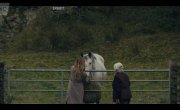   / Y Golau (The Light in the Hall) - 2 , 2 