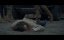  / The Bad Shepherd - 