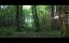 ��������� ���� / Hunting Games - �����