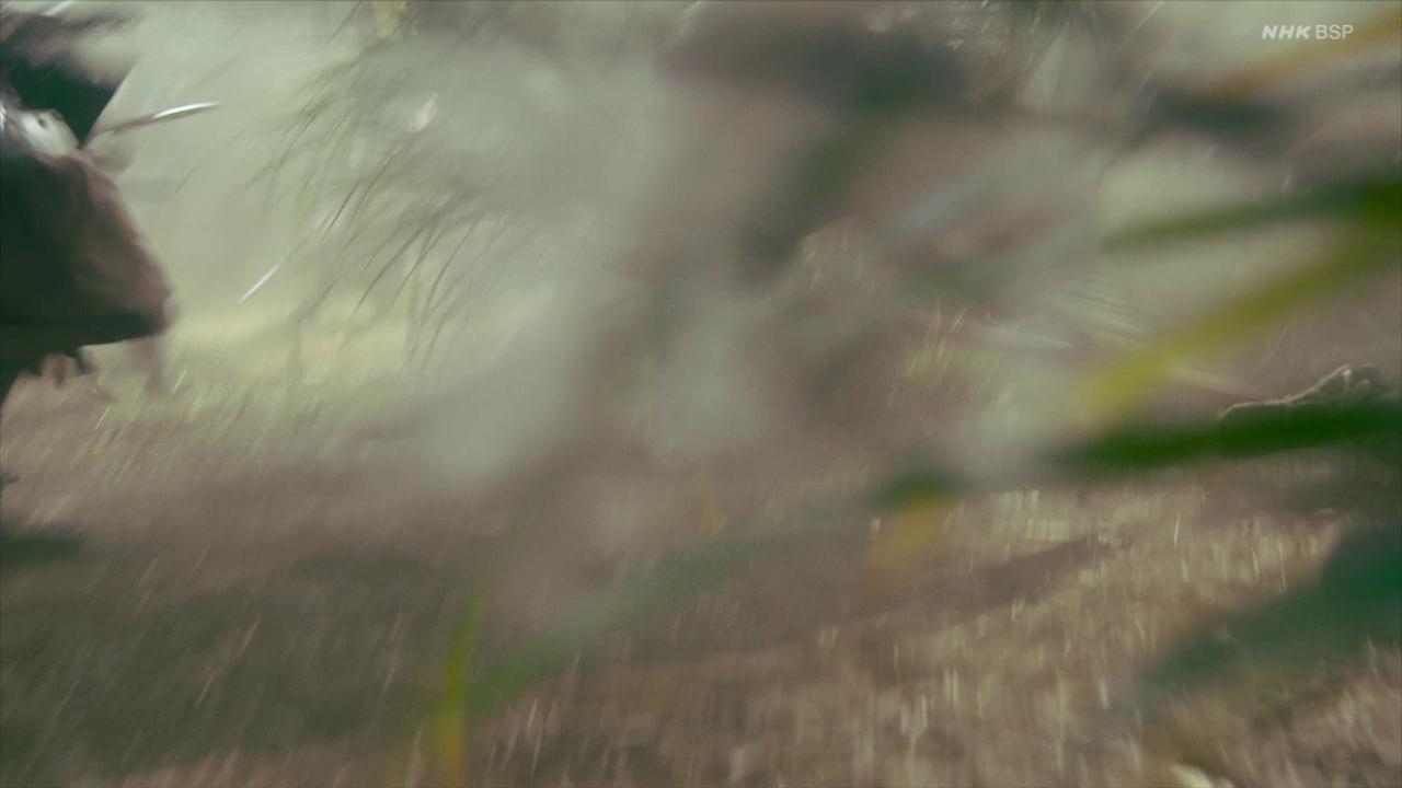 ������