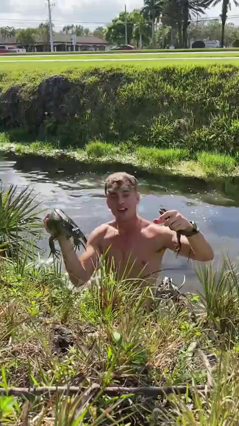 ������