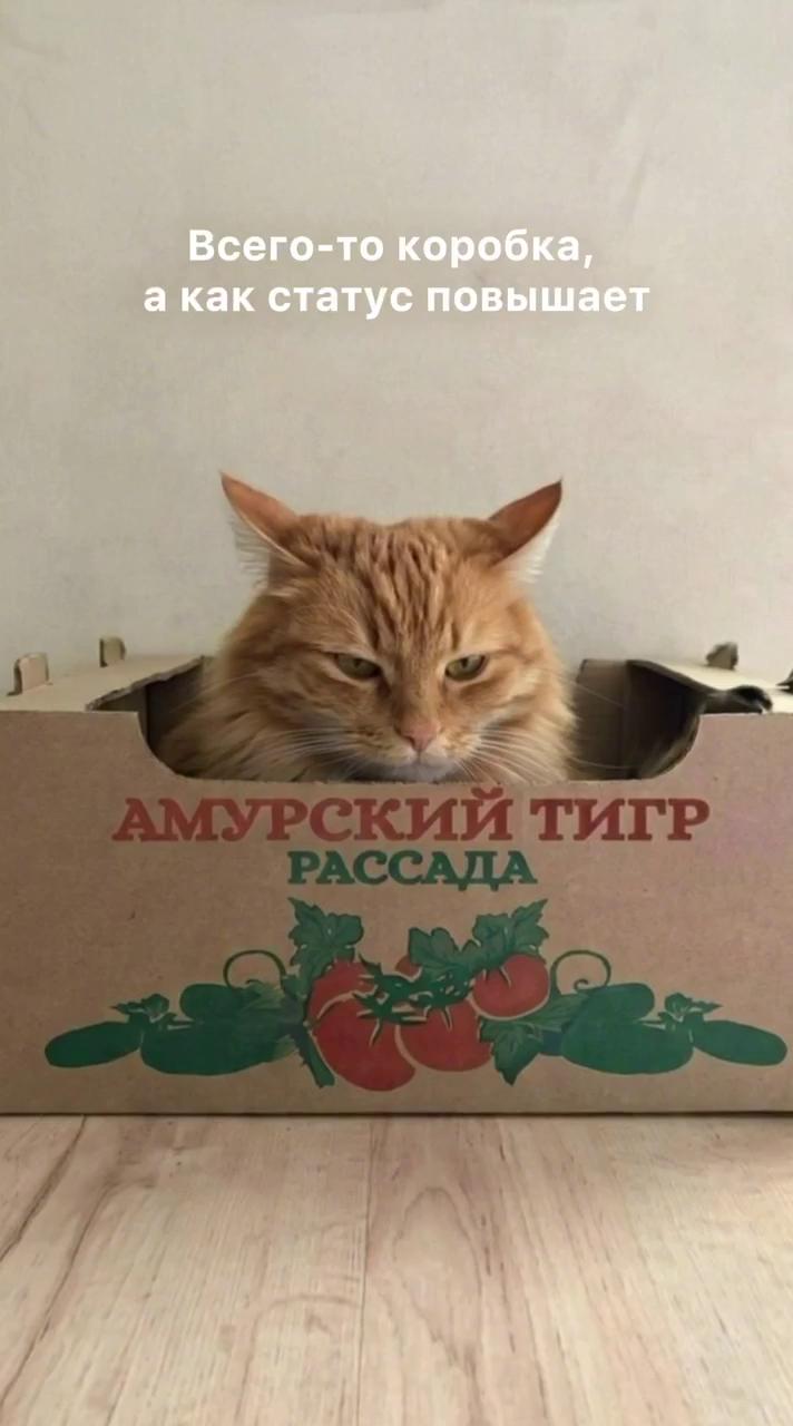 ������