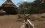 ��������� ��������� ������� Far Cry 5 vs Far Cry 2