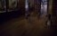       /        / David Attenborough's Natural History Museum Alive - 
