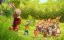   / Rabbit school -  