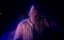    / Newton's Grace - 