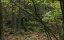    3D / My Soul to Take - 
