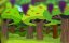 ��� � ��� ������ / YooHoo & Friends - 2 �����, 25 ����� "������� ���������"