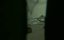  :  / The Captives - 