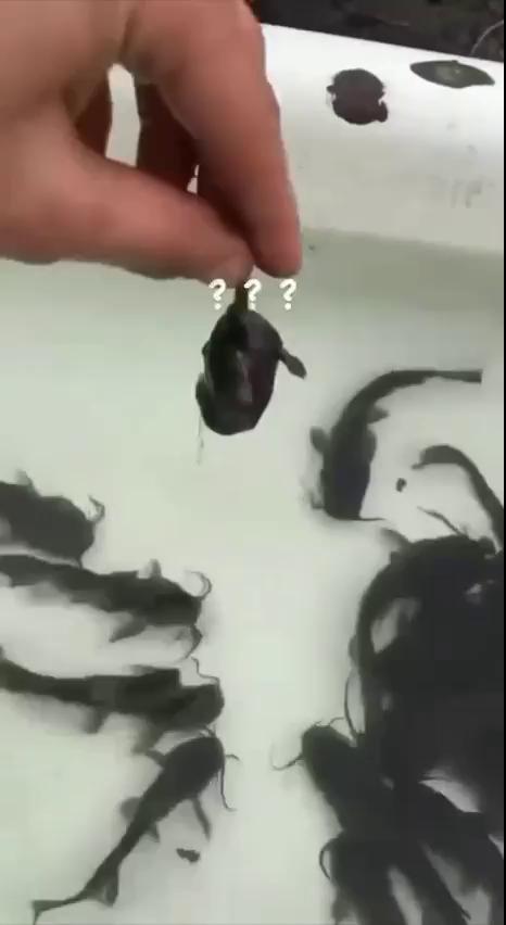 ������