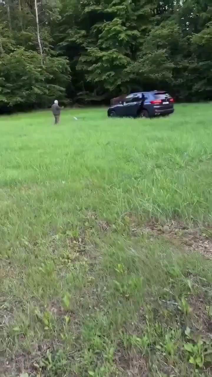 ������