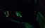  / Pandorum - 