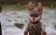  :   / Adventures of Rufus: the Fantastic Pet - 