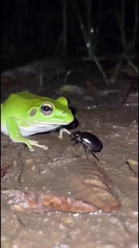 ������