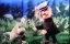   - / Szczesliwe dni Muminkow - 