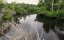 �������� ��������� ������ / Cave Cross of Gabon - �������