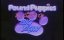    .   / Pound Puppies and the Legend of Big Paw - 