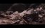   /  Lie zui tu jian (Under the Skin) - 2 , 5 