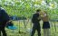      ( ) /  Marry My Husband (Japan) - 1 , 4 