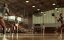     / Glory Road - 