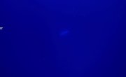 :     / Implosion: The Titanic Sub Disaster - 