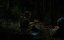     / The Secret Life of Bees - 