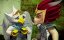 ���� ������� � ���� / Lego Legends Of Chima - 2 �����, 4 �����