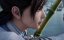 ��������������� �� ���� ������� / Dan Dao Zhizun - 1 �����, 182 �����