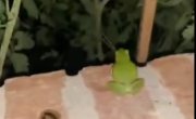 �����