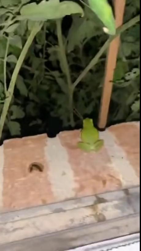 ������