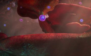 Как приручить дракона: Возвращение домой / How to Train Your Dragon Homecoming - Фильм