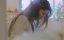 ��������� ������ / Beiimaan Love - �����