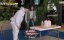 ������� ������� / Running Man - 8 �����, 731 �����