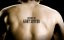 ���� ������� (���� �������) / Sons of Anarchy - 7 �����, 8 �����