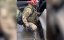 ⚡️��� � ��� ������� ���������� ����������� ���������������� ����� � ������ � ���������-��������