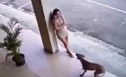 ������-�������