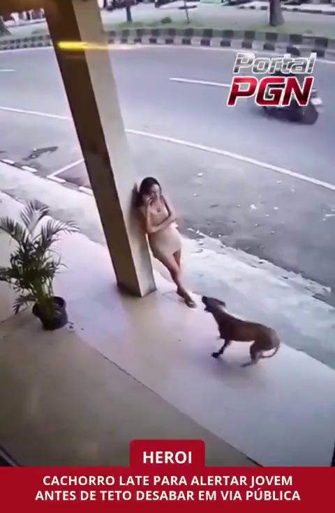 ������
