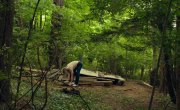    / My Friend Dahmer - 