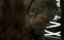 ������� / Engrenages (Spiral) - 5 �����, 10 �����
