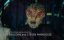    / Resident Alien - 4 , 6 