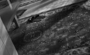   / The Lower Ground - 