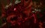  / Turbo: A Power Rangers Movie - 