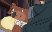 �� ��� ������: �������  / Breaking Bear - 1 �����, 1 �����