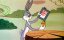  .   / Looney Tunes. Fun Adventures - 