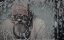  :   / Gold Rush: White Water - 8 , 12 