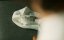    /  I Can Speak - 