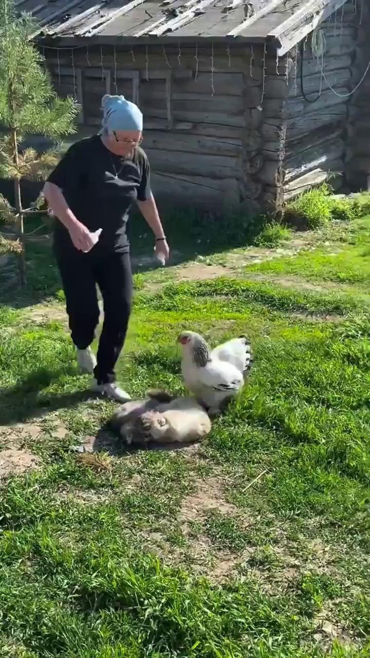������