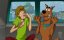 -!   ! / -   / Scooby-Doo! and Krypto, Too! - 